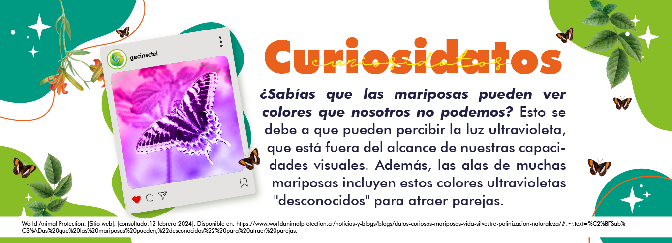 imagen curiosidatos gecin