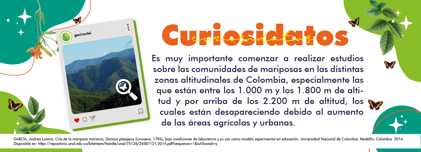 imagen curiosidatos gecin