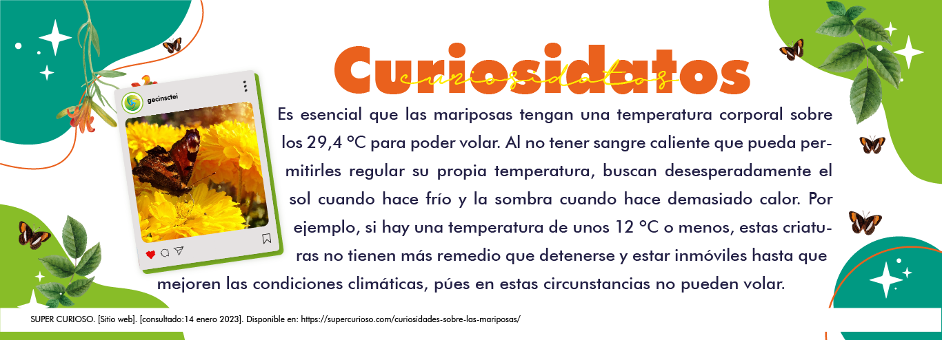 imagen curiosidatos gecin